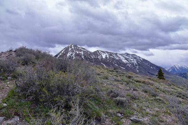 istock Mt Timpanogos landscape snow spring  views from Mount Mahogany hiking trail, Wasatch Front Rocky Mountains, by Orem and Provo, Utah. United States. USA. 1320589290
