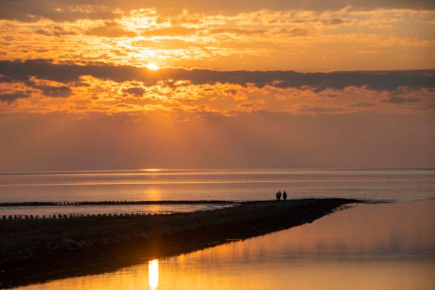 o mar de wadden na costa sudoeste na dinamarca - wadden wadden sea unesco world heritage site sea - fotografias e filmes do acervo