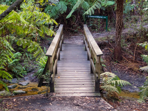 istock Wooden footbridge - Wilsons Promontory 1320592843