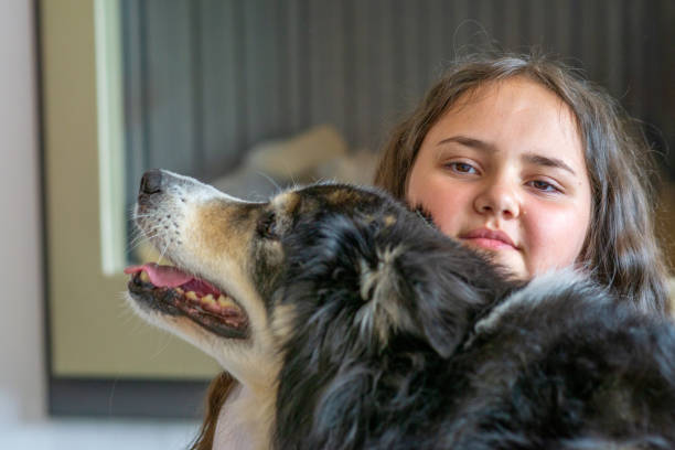 istock Thirteen year old girl with pet border collie 1320596259