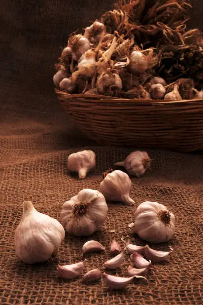 Organic Garlic Cloves and Bulb in wooden basket.