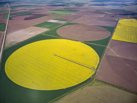 Center pivot irrigation system on a yellow rapeseed field aerial drone view