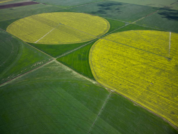 istock Center pivot irrigation system on a yellow rapeseed field aerial view 1320602173