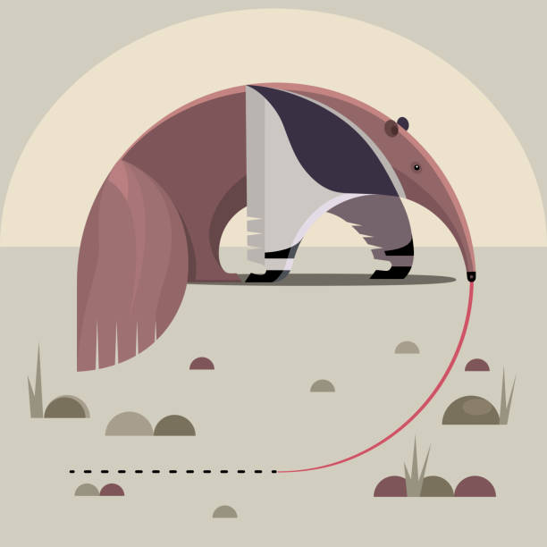 anteater - ameisenbär stock-grafiken, -clipart, -cartoons und -symbole