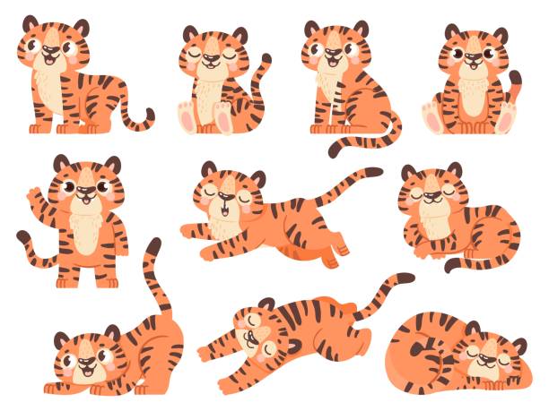 ilustrações de stock, clip art, desenhos animados e ícones de cute baby tigers. cartoon jungle animal for kids design. tiger poses in sleep, sit, play and roar. 2022 new year symbol character vector set - cria