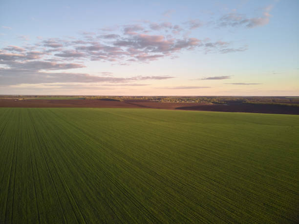 istock Aerial View of landscape with green agricultural fields, springtime. 1320606310