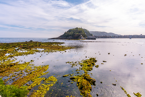 Marine vegetation at low tide on the beach of Ondarreta in San Sebastián and the island in the background. Province of Gipuzkoa, Basque Country. Spain