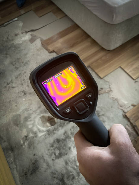 istock Thermal Insulation of the Home 1320608663