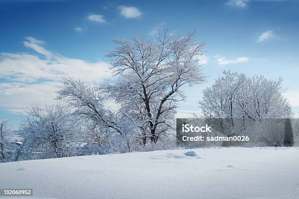 Winterhintergrund Stockfoto und mehr Bilder von Baum - Baum, Bildhintergrund, Blau