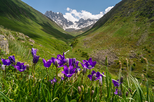 Summer season in Juta valley, small village in Caucasus mountains range in Georgia country, Europe