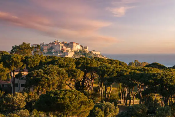 Early morning sun on the citadel of Calvi in the Balagne region of Corsica with pine trees in the foreground and the Mediterranean sea in the distance