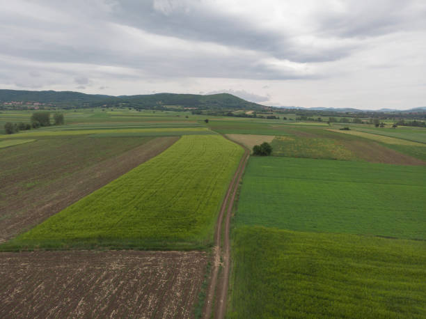 istock Green color farm agricultural fields in springtime. Aerial view. 1320613192