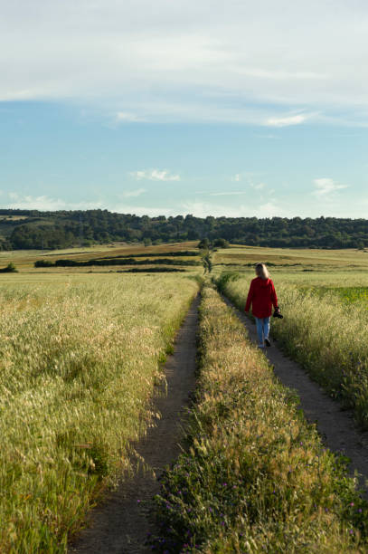 istock Woman in unrecognizable red jacket walking along a road in a grain field 1320613250