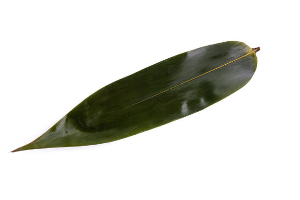 istock Green Leaves for Making Zongzi, Chinese Rice Dumplings 1320617284
