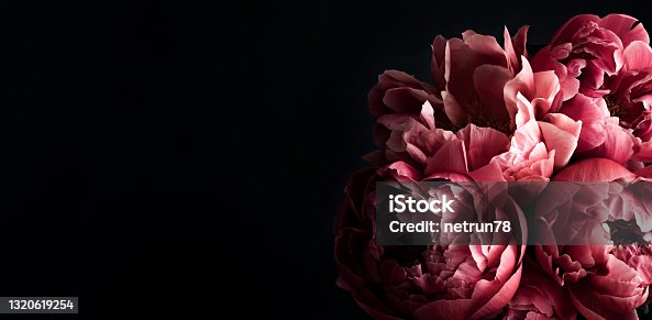 istock Pink peonies over dark background. Moody floral baroque style banner 1320619254