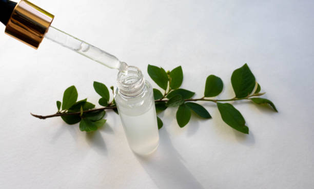 istock Cosmetic pipette, bottle and green branch on a white background 1320619767