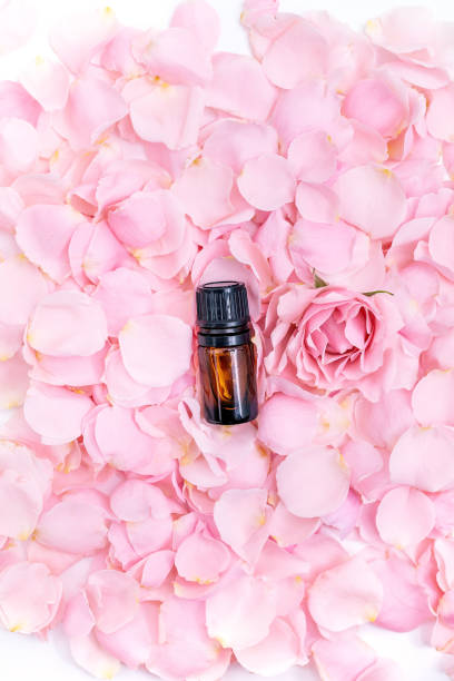 istock Aromatherapy concept with product ingredients 1320623805