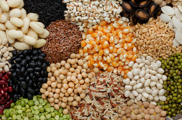 groupe de céréales biologiques sèches et de tas de graines de céréales à tonalité brune douce, pour un ingrédient alimentaire propre ou un concept de produit agricole - legume bean lentil cereal plant photos et images de collection