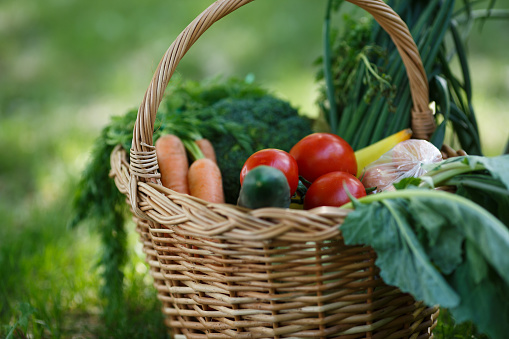 Shopping basket with fresh vegetables. In basket are carrots, tomatoes, lettuce, leeks, cucumbers and potatoes. Organic food. Close-up.