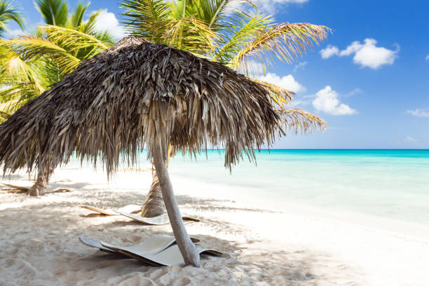 istock Beach scene with sunbeds and umbrella under coconut palms 1320626362