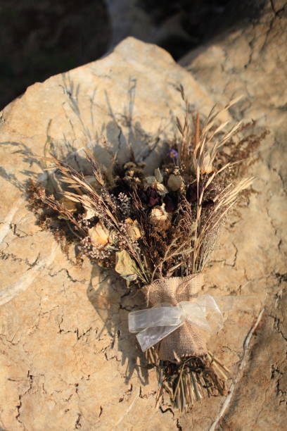 istock Dry flowers bouquet 1320628636