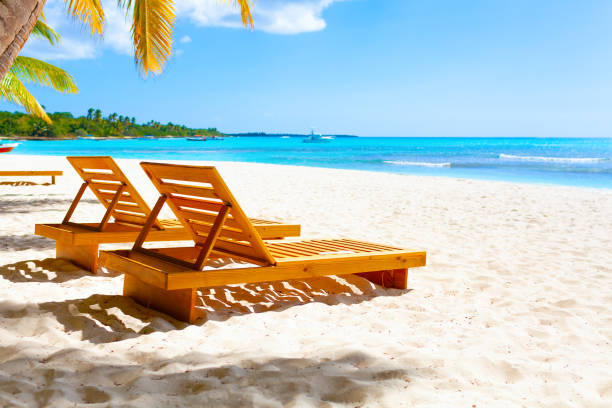 istock Tropical white sand beach with palms and sea 1320629446