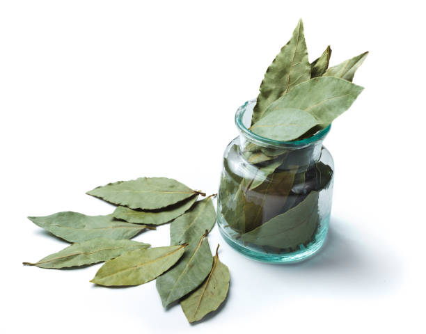 istock Aromatic dried bay leaves in the glass 1320632853