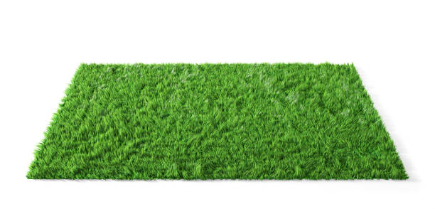 istock Square glade with green grass. Grass carpet on a white background. 3d illustration 1320633603