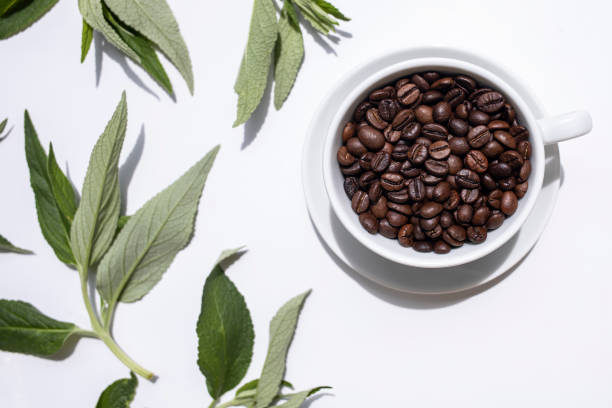 Coffee beans in a white cup on a white background among green coffee leaves.