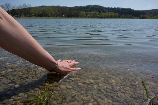 cool down in fresh water on a hot summer day