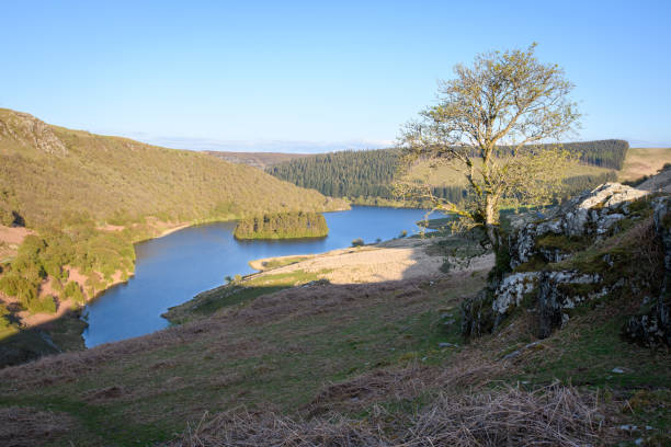 istock Elan valley reservoirs and dams 1320637641