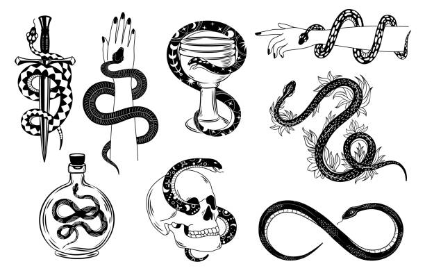 Snakes tattoo. Occult snake wrapped around hand, skull, dagger, bowl and poison. Serpent silhouette in flowers. Mystical tattoos vector set Snakes tattoo. Occult snake wrapped around hand, skull, dagger, bowl and poison. Serpent silhouette in flowers. Mystical tattoos vector set. Illustration tattoo snake, symbol of occult animals tattoos stock illustrations