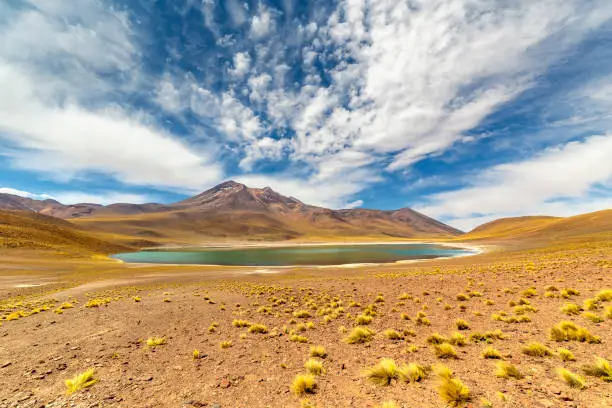 Miniques Lagoon on the altiplano in the Atacama Desert in the Antofagasta region of northern Chile, South America