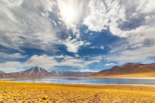 istock Miscanti Lagoon in the Atacama Desert, Chile 1320649340