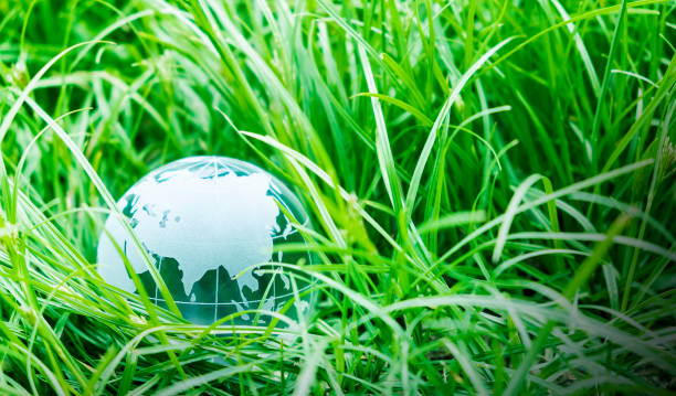 istock Earth day concept of globe on green grass with copy space 1320650701