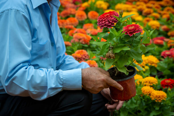 istock Mature Turkish Man Holding flowers 1320653043