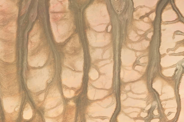 istock brown watercolor painted background texture 1320654910