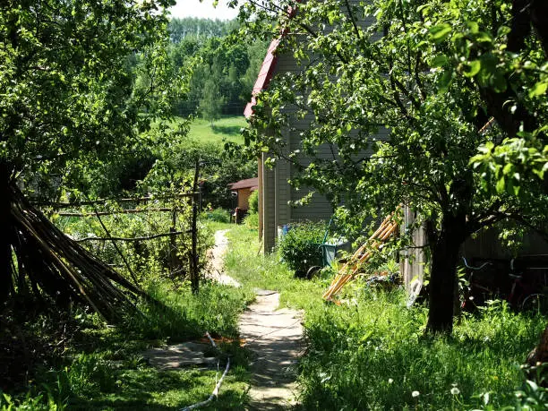 path to the farmhouse through the garden, in summer