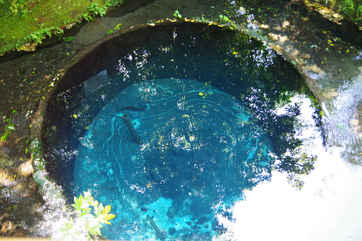 Shizuoka,Japan August 13, 2020:IThis is the spring water of the Kakita River in Shizuoka, Japan.It is famous as 