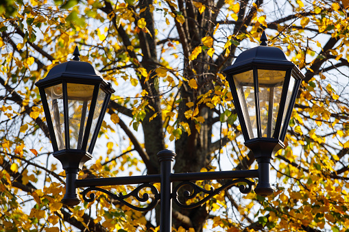 street lamp on a background of autumn leaves.