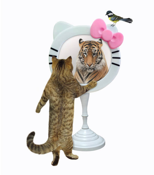 istock Cat stands near funny round mirror 1320662588