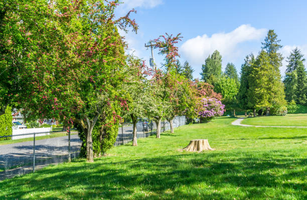 istock Spring Park Flowers Landscape 7 1320666778