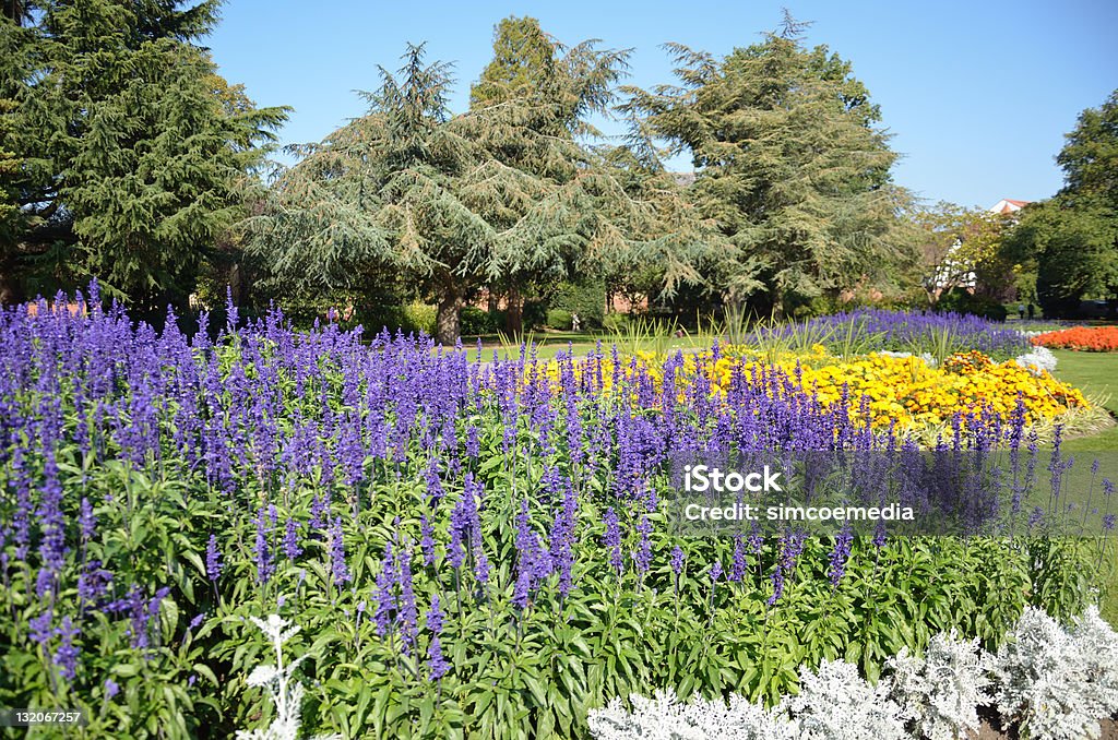 Vienen en colores vivos flores en el parque de la ciudad de Chester - Foto de stock de Aire libre libre de derechos