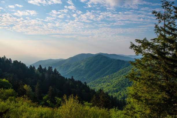 a haze in the distance mark the great smoky mountains. - great smoky mountains great smoky mountains national park mountain smoke imagens e fotografias de stock