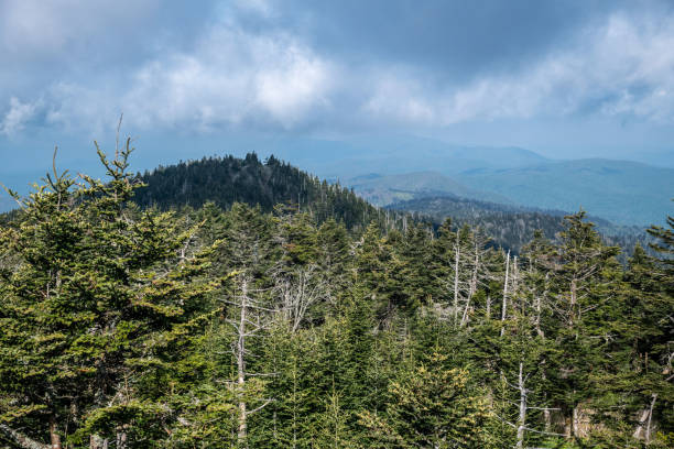 istock Clouds hover above the treetops in the Great Smoky Mountains 1320672874