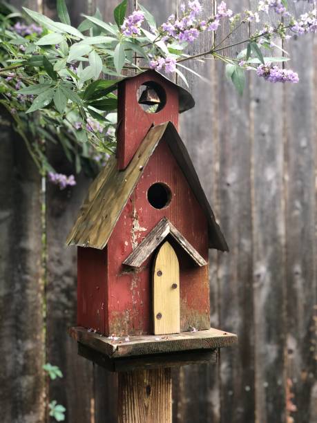 istock Birdhouse Beauty 1320677818