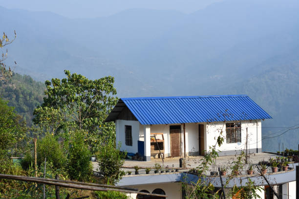 istock A lone cottage with blue roof, pine trees and ridges. 1320679005