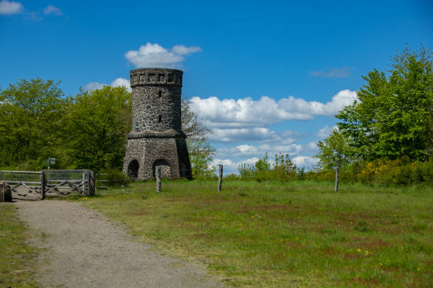 istock Hiking trail with the Dronketurm in Daun 1320683166