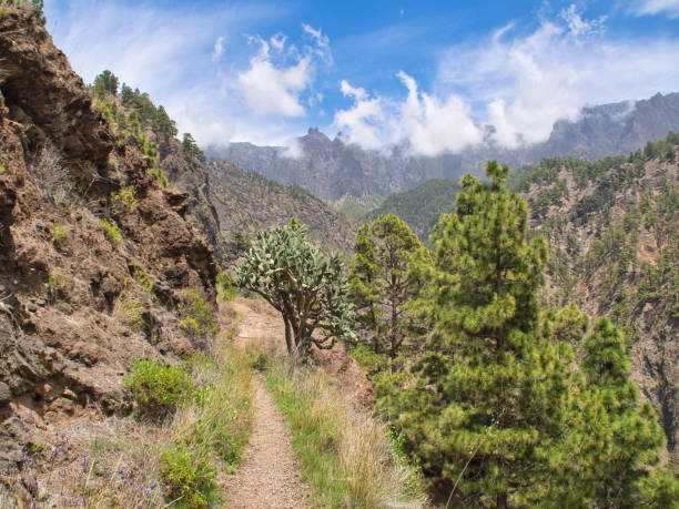 istock A beautiful view during the walk in la Caldera de Taburiente on La palma 1320684406
