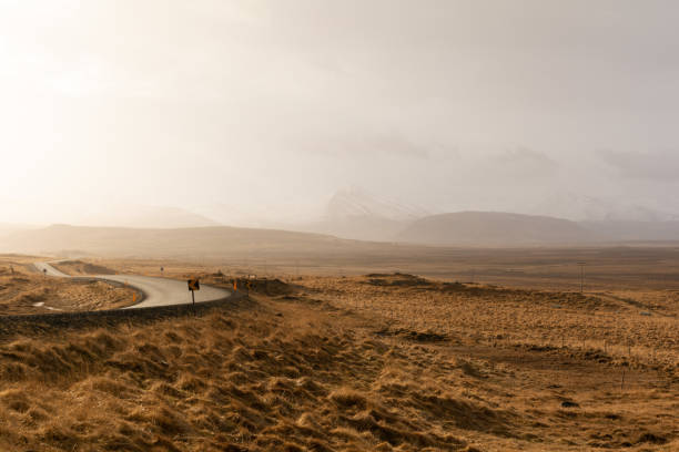the road through the wasteland of Iceland stock photo